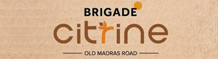  Brigade Citrine 