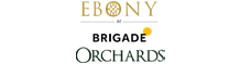  Ebony At Brigade Orchards 